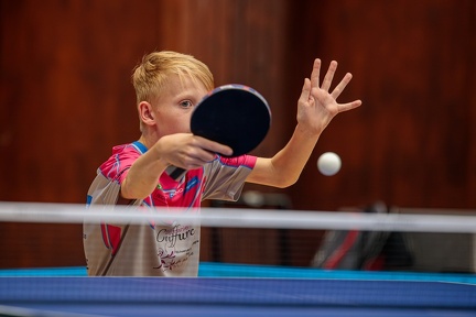 08092024-IMG 4090-Avec accentuation-Bruit